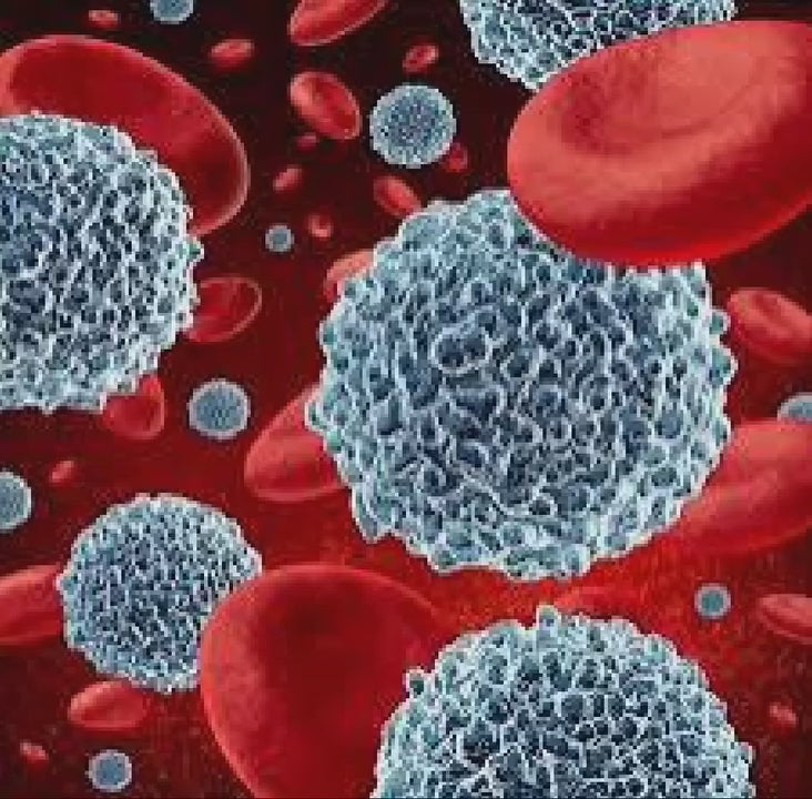 ANTI-CANCER
